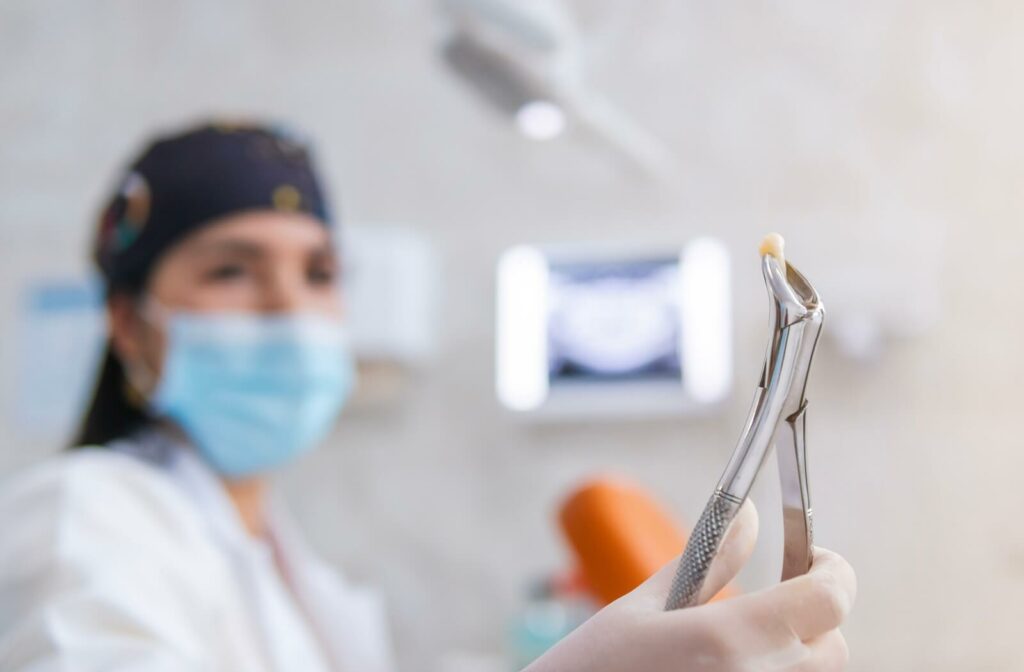  A dentist wearing a medical mask holds up a pair of pliers with an extracted tooth in its grip