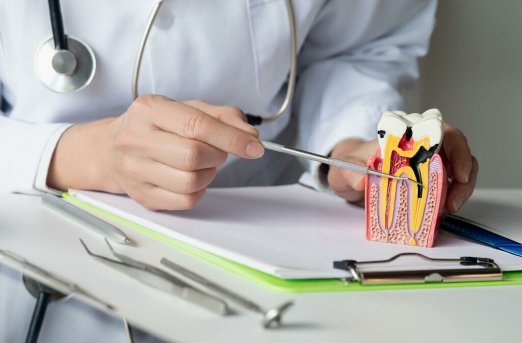 The dentist shows the disease and the formation of the tooth pulp.