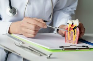 The dentist shows the cavity and the formation of the tooth pulp.