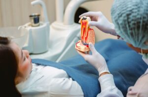 Dentist showing patient in chair a cross-section model of a tooth to educate about tooth infection.